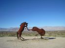 PICTURES/Borrega Springs Sculptures - Horses, Sheep & Camel/t_IMG_8898.JPG